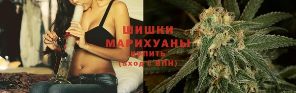 прущие грибы Магас