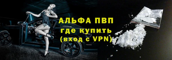 прущие грибы Магас