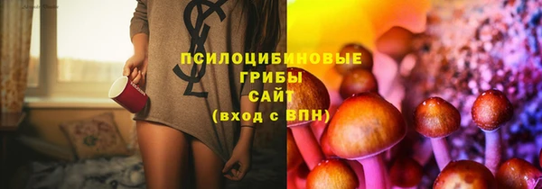 бутират Майский