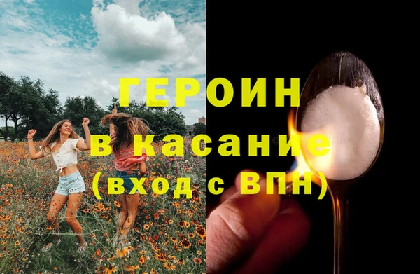 прущие грибы Магас