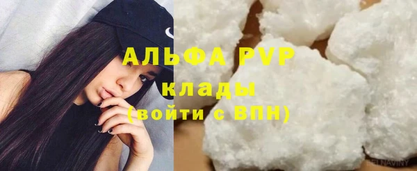 прущие грибы Магас