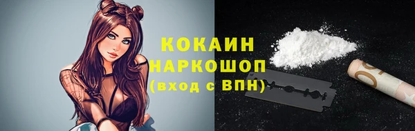 прущие грибы Магас
