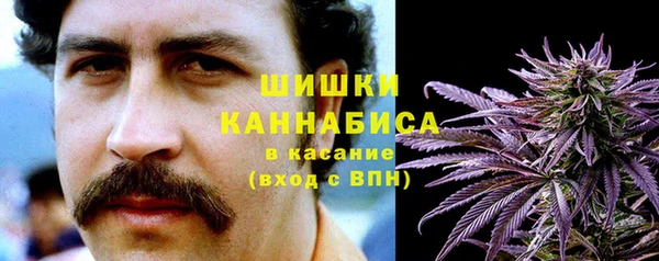 прущие грибы Магас