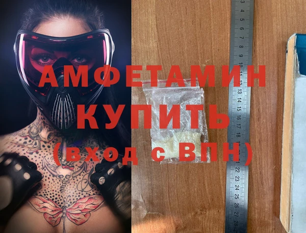 прущие грибы Магас