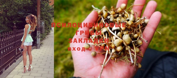 бутират Майский